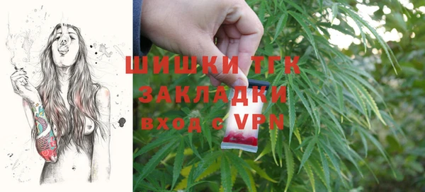 a pvp Ельня